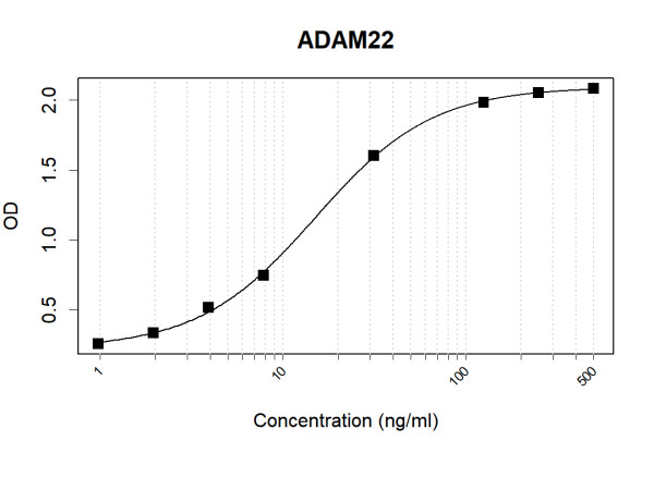 Anti-Human ADAM22 Antibody Pair
