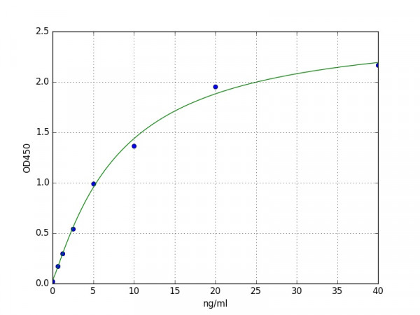 Human SBDP 145 (Alpha II SPECTRIN BREAKDOWN PRODUCT) ELISA Kit
