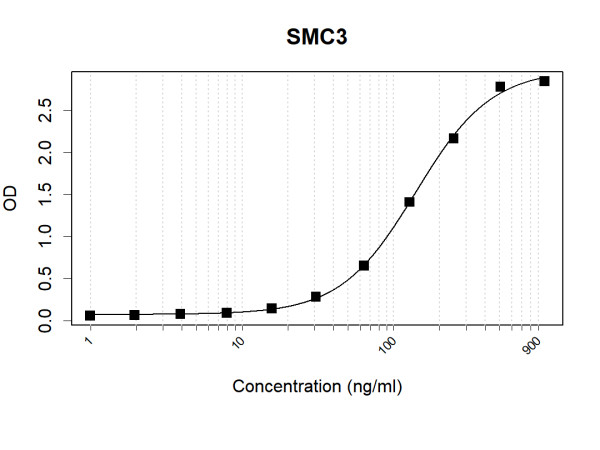 Anti-Human SMC3 Antibody Pair