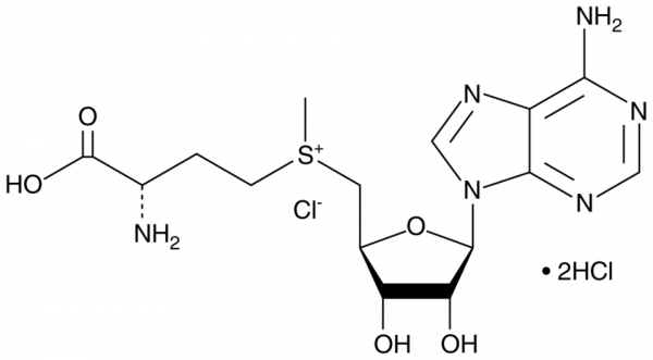 S-(5&#039;-Adenosyl)-L-methionine chloride (hydrochloride)