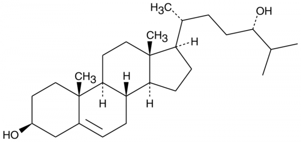 24(S)-hydroxy Cholesterol
