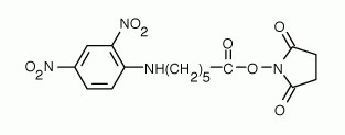 DNP-X acid, SE (6-(2,4-Dinitrophenyl)aminohexanoic acid, succinimidyl ester)
