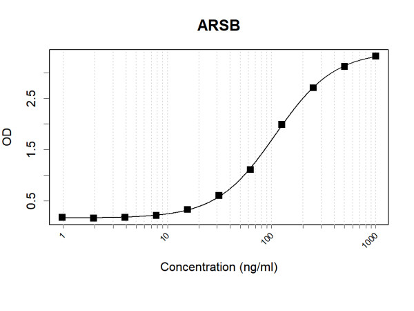 Anti-Human ARSB Antibody Pair