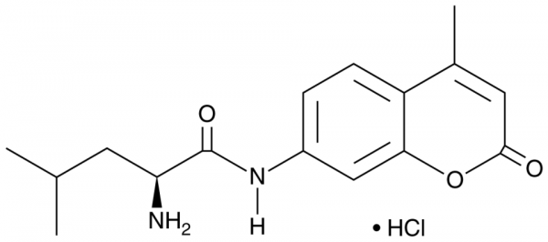 L-Leu-AMC (hydrochloride)
