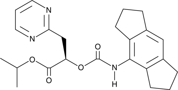 NT-0796