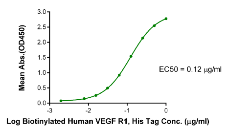 VEGF121, His &amp; Avi, Human