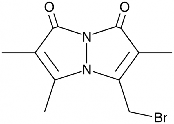 Monobromobimane