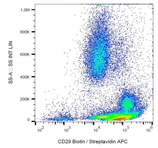 Anti-CD29, clone MEM-101A (Biotin)