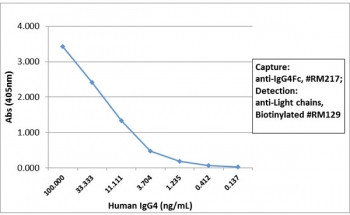 Anti-Human IgG4 Fc, clone RM217 (recombinant antibody)