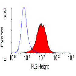 Anti-CD49c / Integrin alpha 3 (RPE), clone 17C6