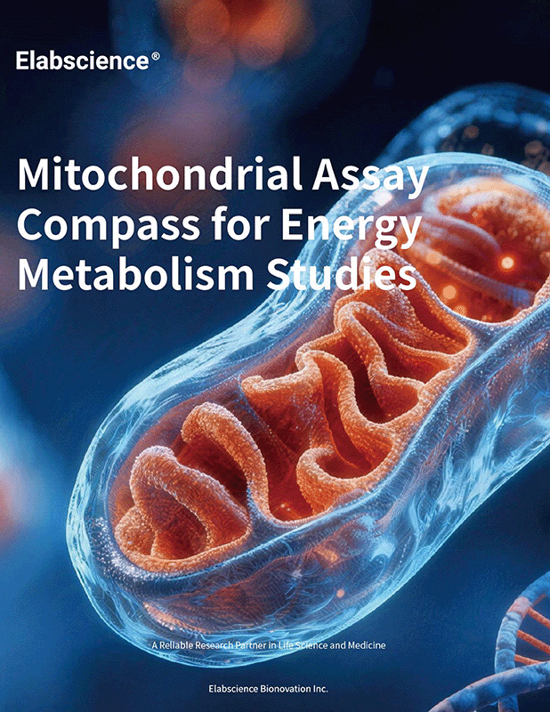 Mitochondrial Assay Compass for Energy Metabolism Studies