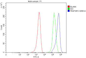 Anti-TRAF3IP2 / TRAF3-interacting protein 2