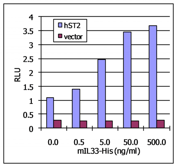 IL-33 (mouse, rec.) (His)