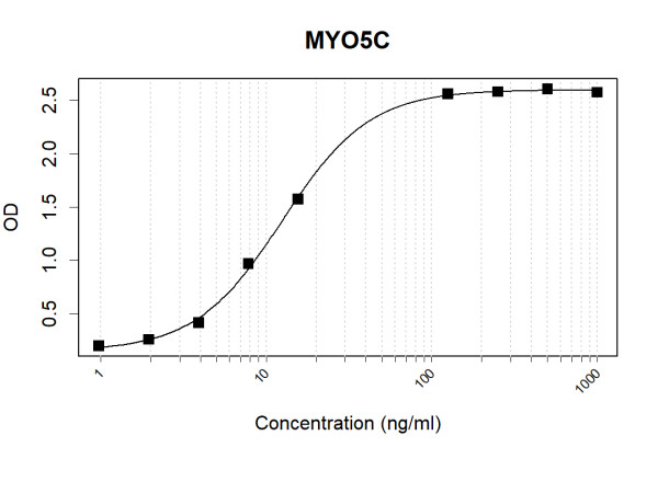 Anti-Human MYO5C Antibody Pair