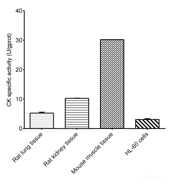 Creatine Kinase (CK) Activity Assay Kit
