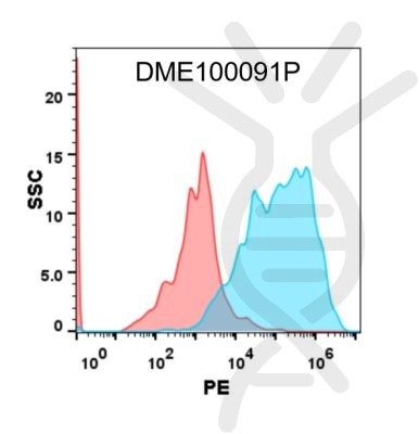 Anti-GPRC5D antibody(DM91), Rabbit mAb, PE-conjugated