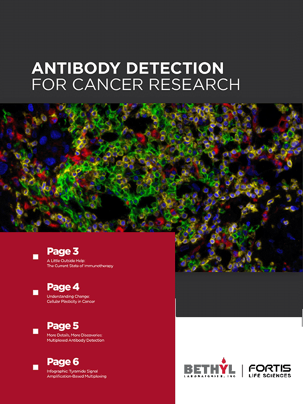 Antibody Detection for Cancer Research