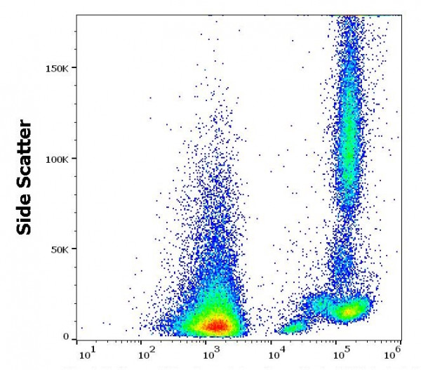 Anti-CD46 / Membrane Cofactor Protein, clone MEM-258 (azide free)