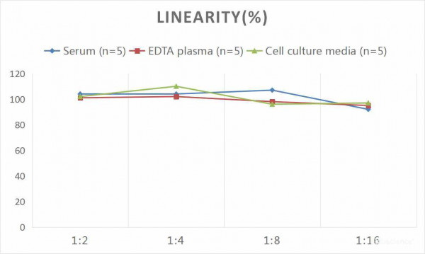 Human GDF11 (Growth Differentiation Factor 11) CLIA Kit