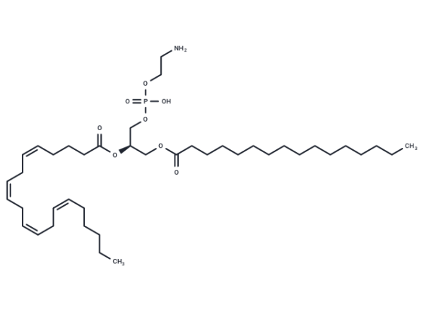 1-Palmitoyl-2-Arachidonoyl-sn-glycero-3-PE