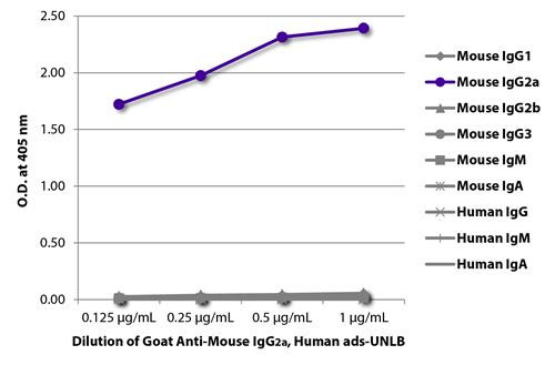 Anti-Mouse IgG2a antibody, pre-adsorbed [Goat]