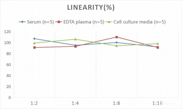 Human BMP-4 (Bone Morphogenetic Protein 4) CLIA Kit