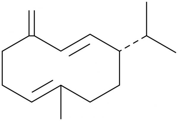 Germacrene D