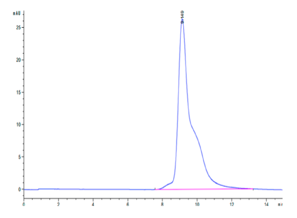 Mouse ASGR1 Protein