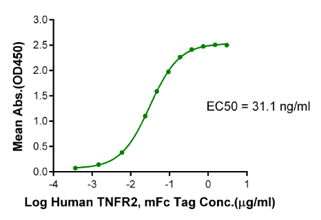 TNFR2/CD120b/TNFRSF1B mFc Chimera, Human