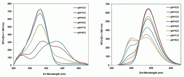 RatioWorks(TM) PDMPO Dextran