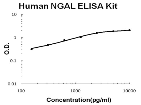 Human Lipocalin-2 - NGAL ELISA Kit