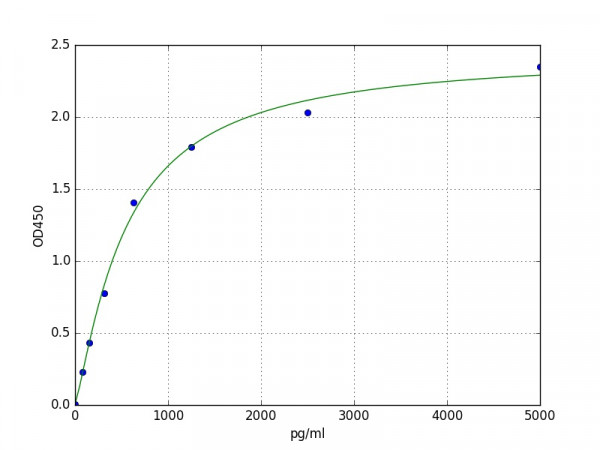 Human Carboxylesterase 5A / CES5A ELISA Kit