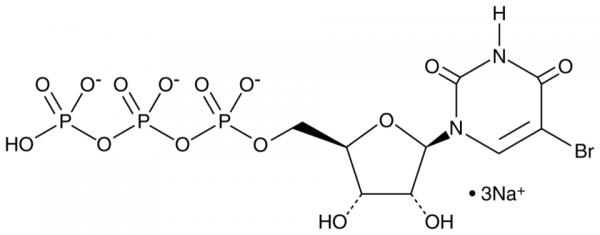 5-Bromouridine 5&#039;-triphosphate (sodium salt)