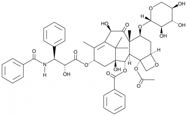 10-deacetyl-7-xylosyl Paclitaxel