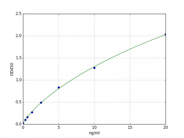 Human C1QTNF2 / C1q and Tumor Necrosis Factor Related Protein 2 ELISA Kit