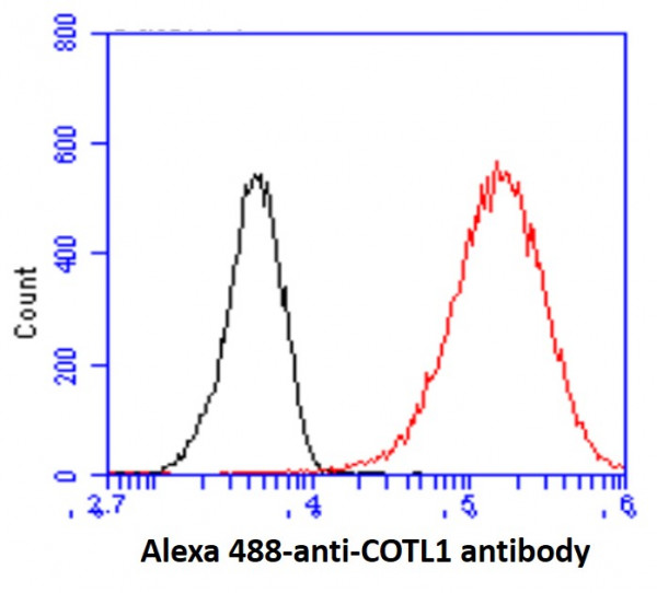 Anti-COTL1, clone 1D6