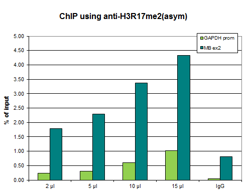 Anti-H3R17me2(asym)