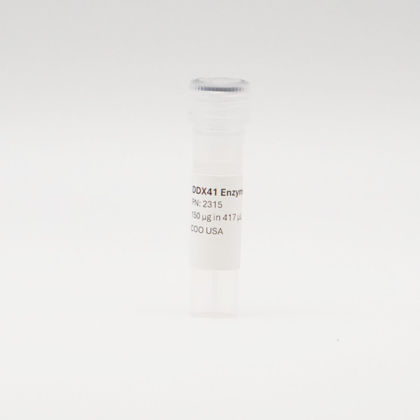 Recombinant DDX41 Enzyme, Active, Human