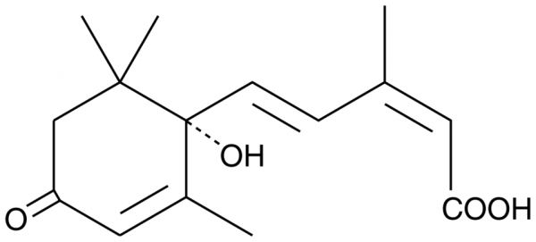 (+)-Abscisic Acid
