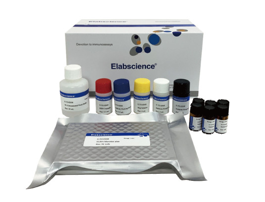 OTA (Ochratoxin A) ELISA Kit