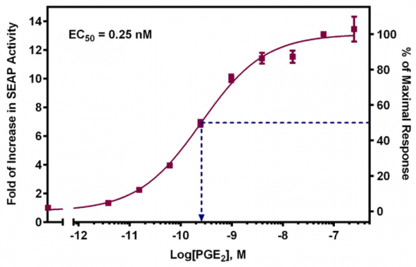 EP4 Receptor (human) Reporter Assay Kit
