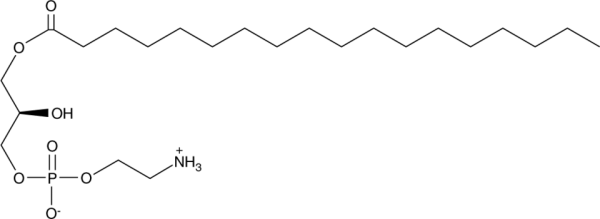 1-Stearoyl-2-hydroxy-sn-glycero-3-PE