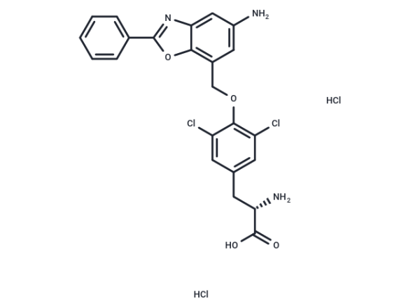JPH203 dihydrochloride