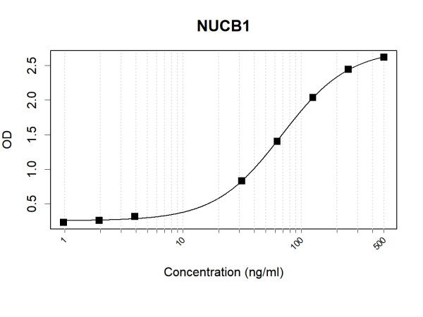 Anti-Human NUCB1 Antibody Pair