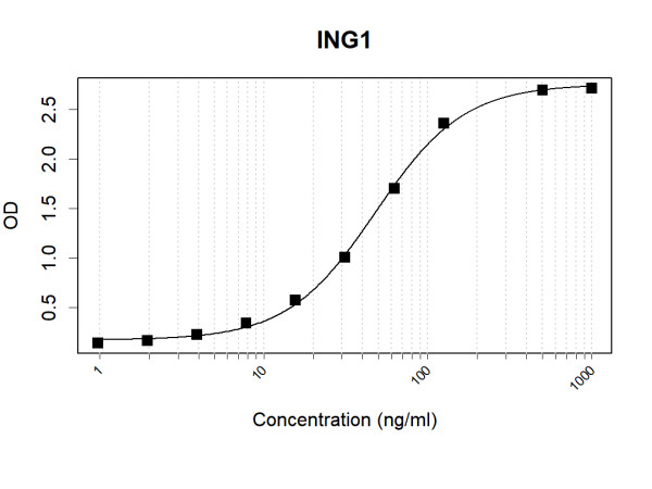 Anti-Human ING1 Antibody Pair