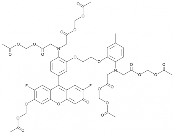 Fluo-4 AM