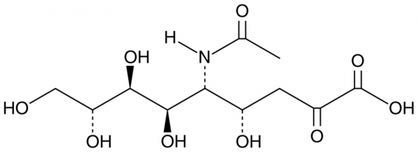 N-Acetylneuraminic Acid