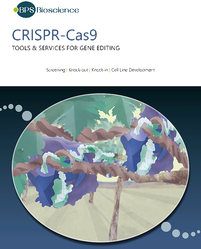 BPS Bioscience CRISPR-Cas9