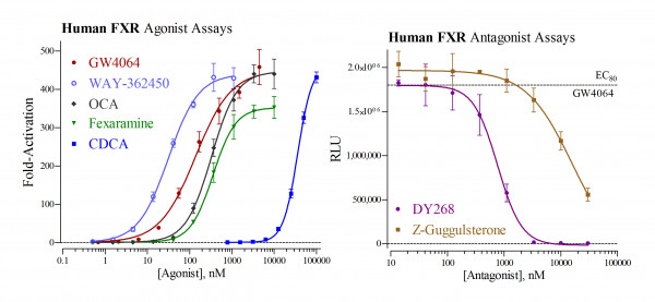 FXR (human) Reporter Assay Kit