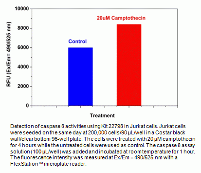 Cell Meter(TM) Caspase 8 Activity Apoptosis Assay Kit * Green Fluorescence*